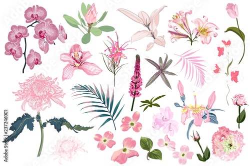 Floral set. Pink flowers and herbs, green leaves. Wedding concept with flowers. Floral poster, invite. Arrangements for greeting card or invitation design.