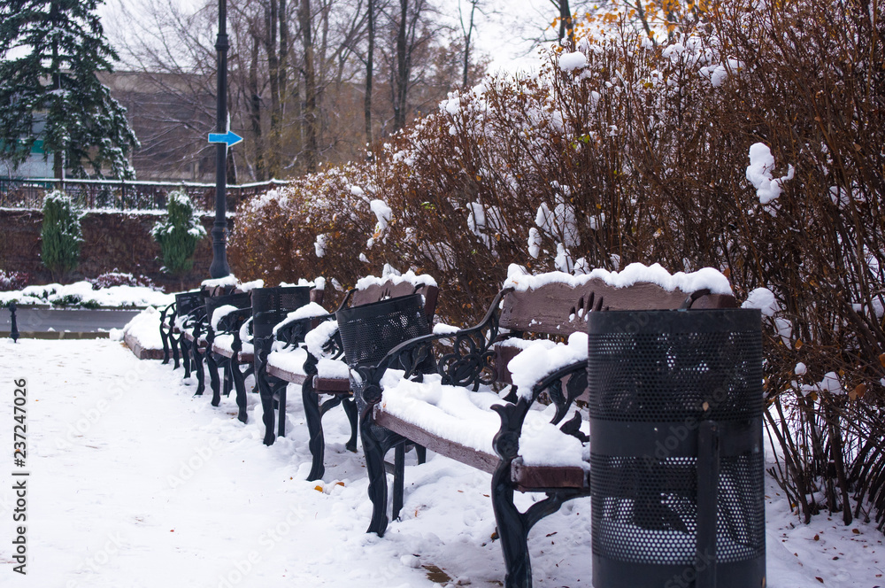 snow-covered benches, branches and trees in the city park snow-covered benches, branches and trees in the city park