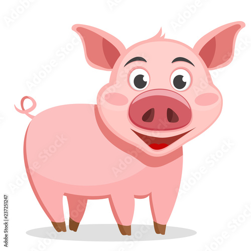 The pig stands on a white background.