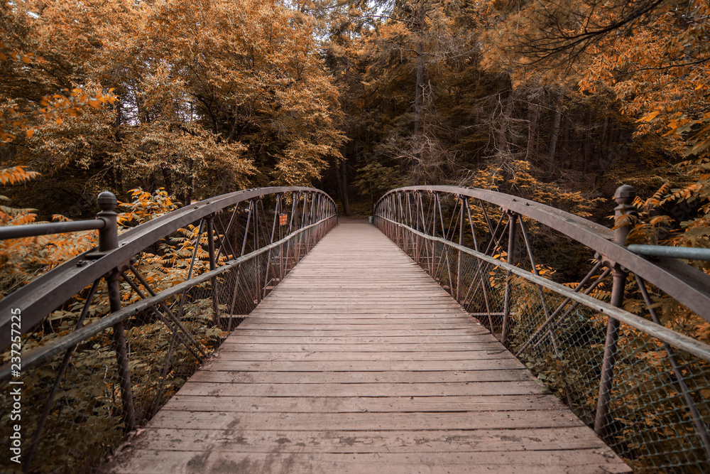 Watkins Glen bridge in Autumn/fall