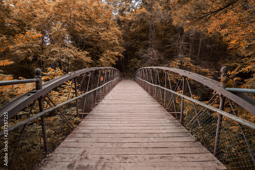Watkins Glen bridge in Autumn/fall