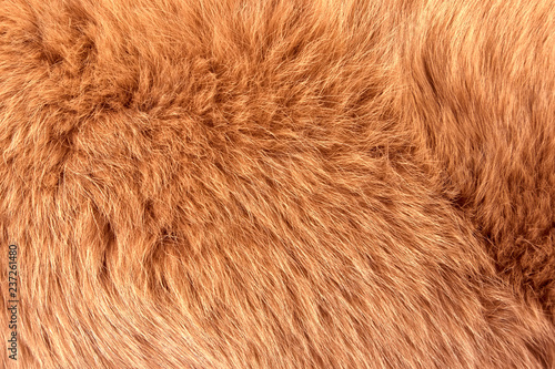 Natural fur of red polar fox closeup, may be used as background or texture