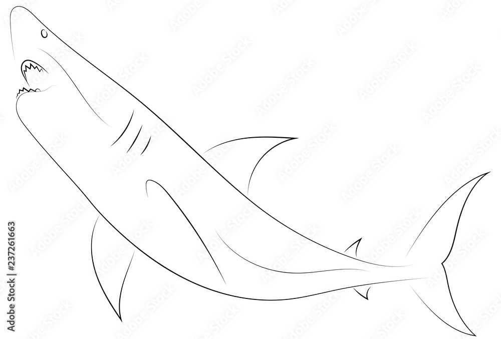 Fototapeta premium Black line shark attacks on white background. Shark. Sketch style. Vector graphic icon animal.