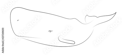 Black line cachalot on white background. Sperm whale. Sketch style. Vector graphic icon animal.