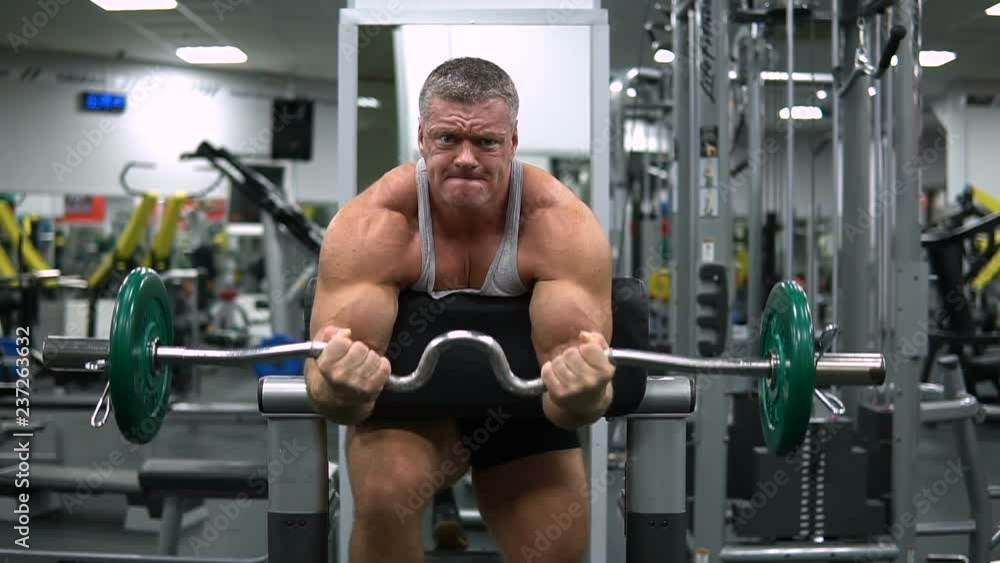 Muscular man trains biceps with a barbell in the gym Muscular man trains biceps with a barbell in the gym