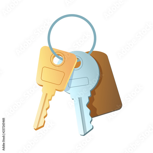 Vector item_set of keys with a key fob on the ring