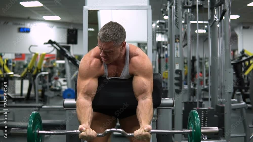 Muscular man trains biceps with a barbell in the gym Muscular man trains biceps with a barbell in the gym