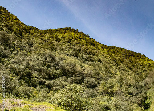  Mountain forests divide southern and central mexico. Serpentine and mountains. Pomite that further height and amazing feeling