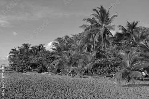 Plage des Antilles en noir et blanc © fourchy