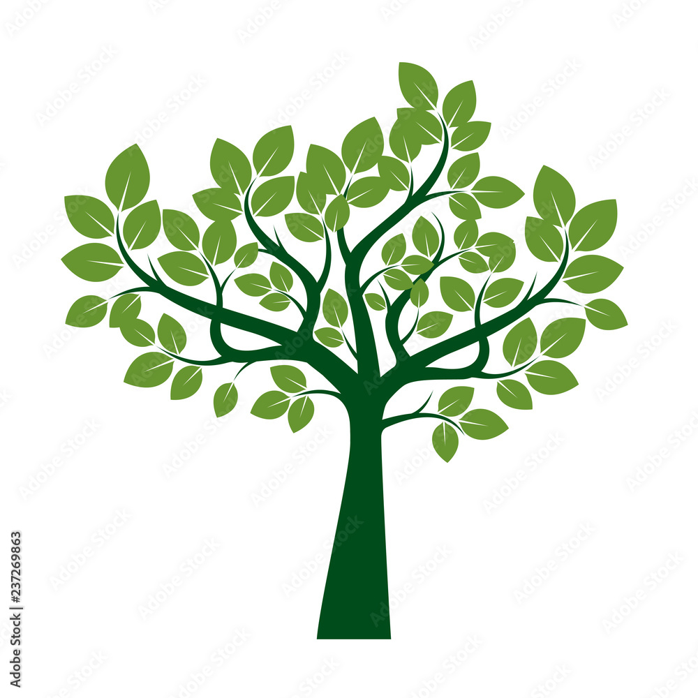 Obraz premium Green Tree with Leaves. Vector Illustration.
