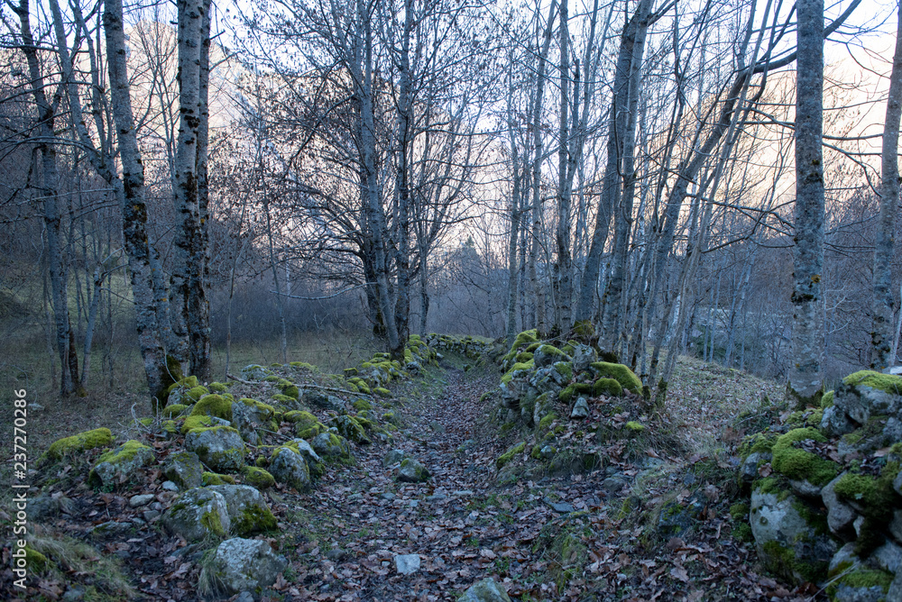 Les sources sulfureuses of Merens-les-vals, Ariège, Occitanie, France. Les sources sulfureuses of Merens-les-vals, Ariège, Occitanie, France.
