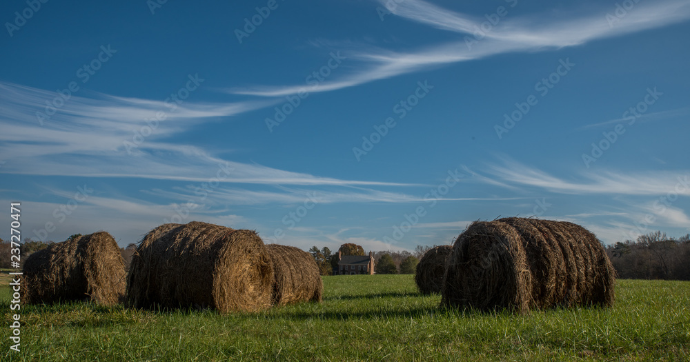 Field of rolled cut straw North Carolina