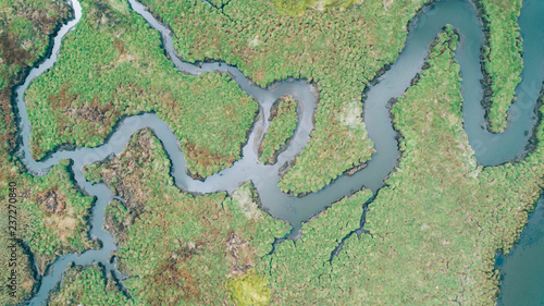 River aerial view photo