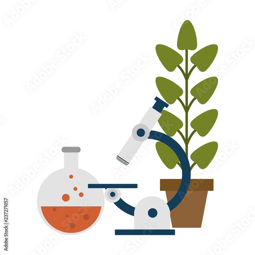 Science experiments and investigation