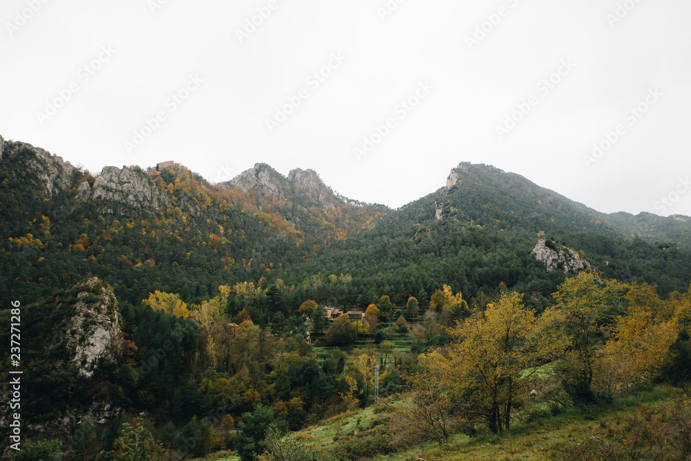 Mountains green fields landscape in Alps 