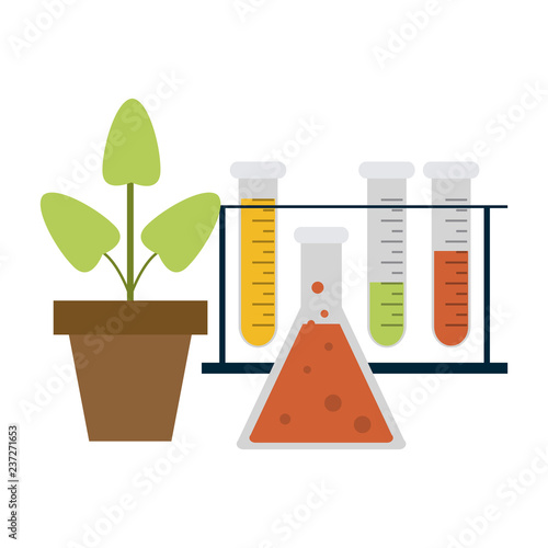 Science experiments and investigation