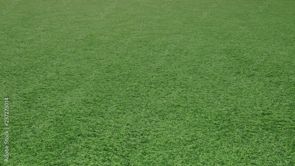 Rotating soccer ball moves along the football field. Copy space background. Rotating soccer ball moves along the football field. Copy space background.