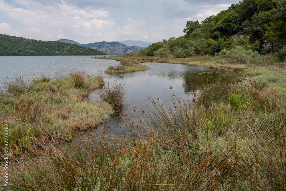 Wetlands of Lake  Butrint in Albania