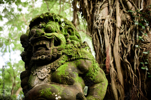 statue in Bali temple, stone staue covered by moss, huge tree in background, near Ubud, Bali, Indonesia photo