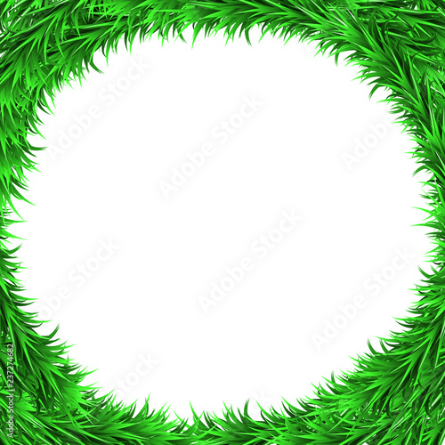 Fir branches circle background