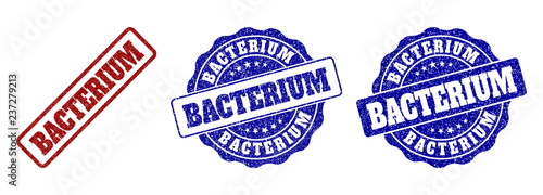 BACTERIUM scratched stamp seals in red and blue colors. Vector BACTERIUM labels with dirty surface. Graphic elements are rounded rectangles, rosettes, circles and text labels.