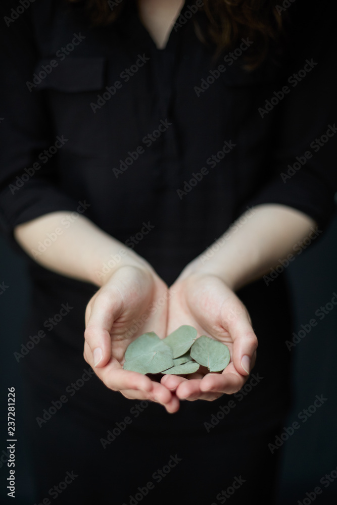 Close up of female hands with green plant and leaves in a poetry mood Close up of female hands with green plant and leaves in a poetry mood