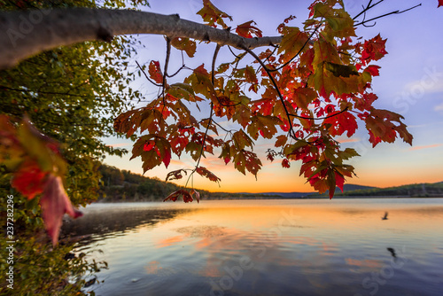 Autumn morning