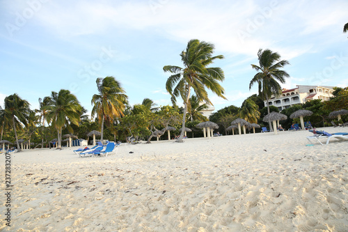 Green palm trees on a white sand beach and loungers. Summer concept background - Sea or Ocean Beach © Irina Tarzian