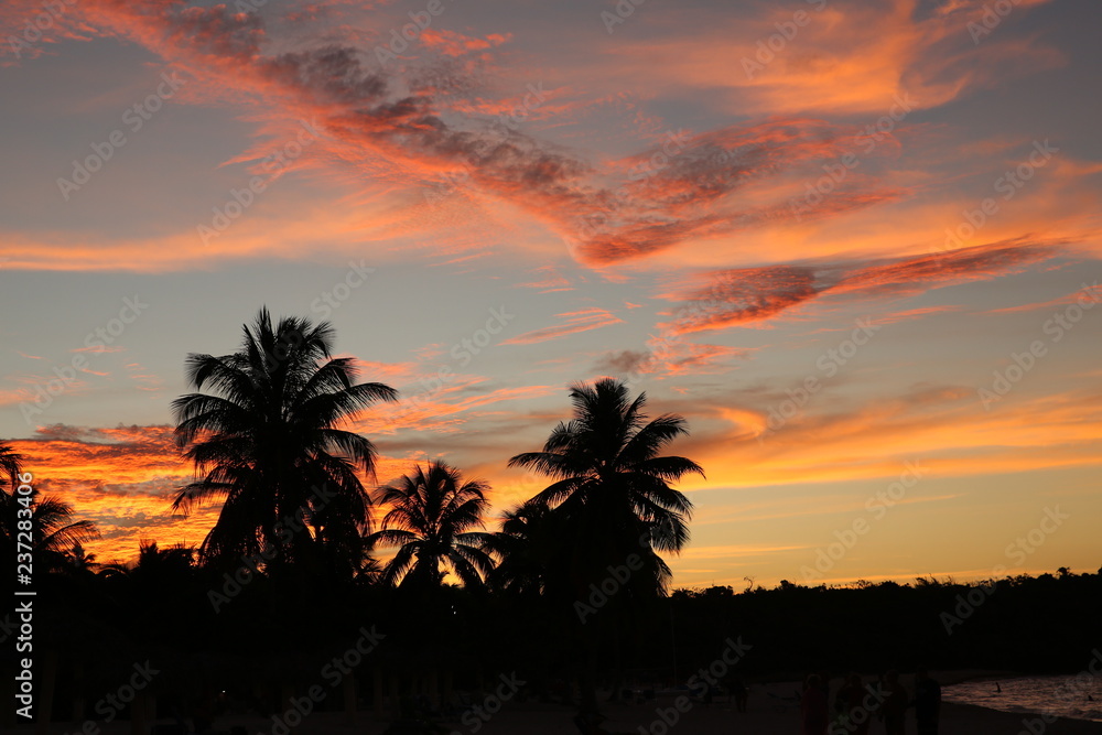 bright sunset colors on a tropical beach with palm trees Summer concept background - Sea or Ocean Beach bright sunset colors on a tropical beach with palm trees Summer concept background - Sea or Ocean Beach