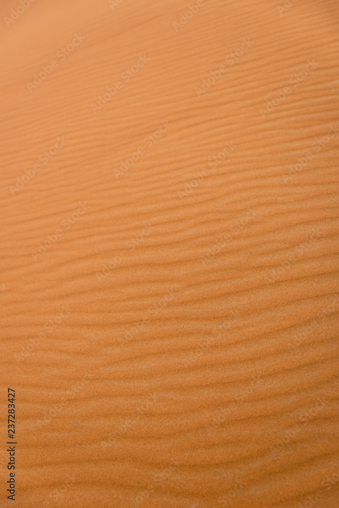Waves of the desert Waves of the desert