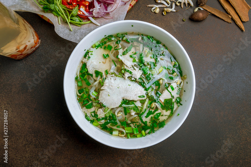 Vietnamese soup Pho GA