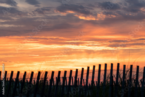 Sunset fence © Matthew