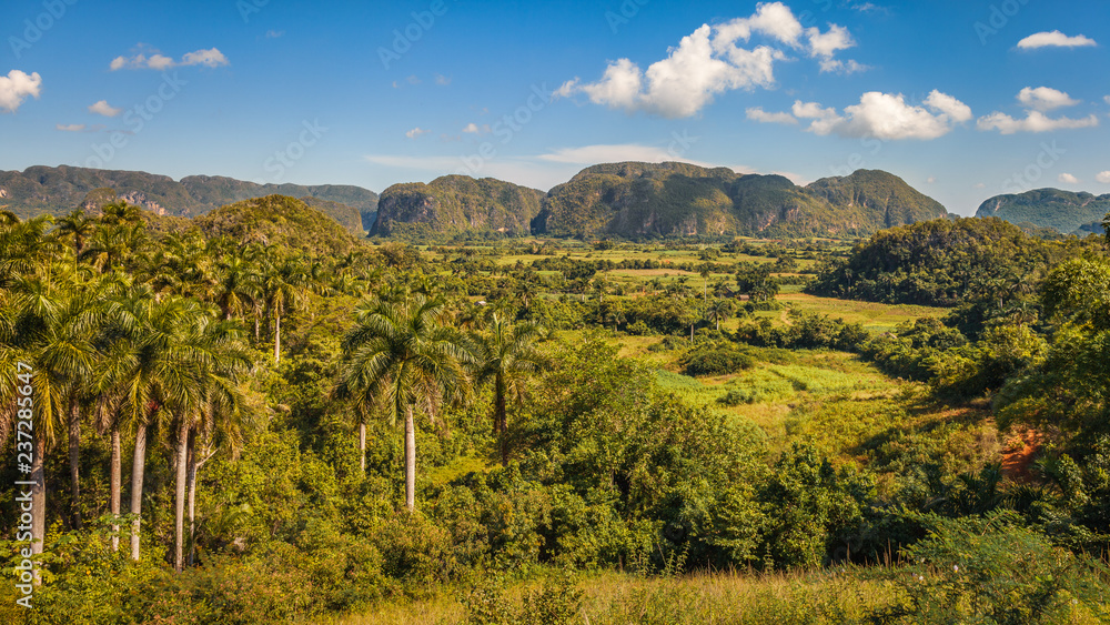 Mogotes and green fields in Vinales valley, Cuba