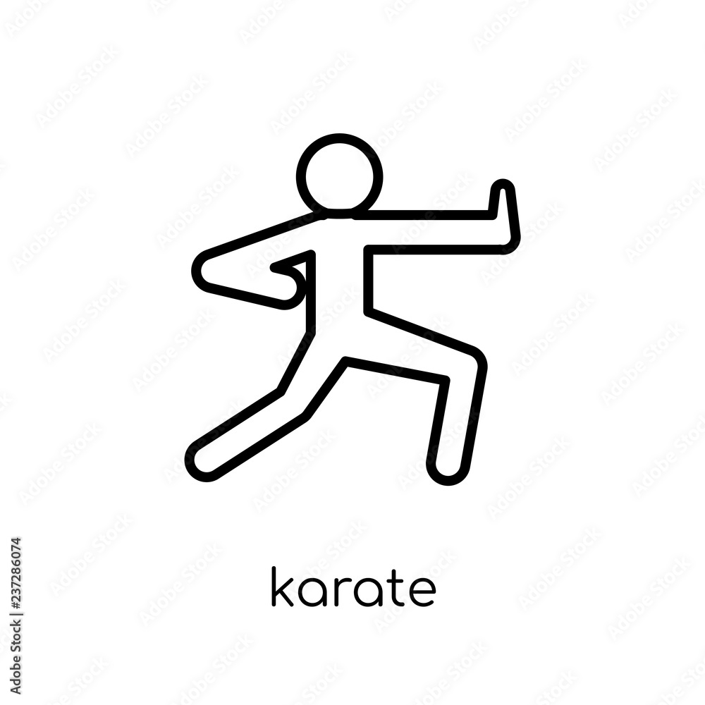 Karate icon. Trendy modern flat linear vector Karate icon on white background from thin line sport collection