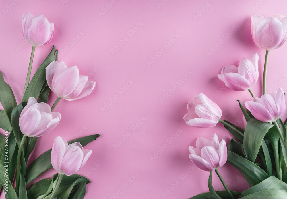 Pink tulips flowers over light pink background. Greeting card or wedding  invitation. Flat lay, top view, copy space Stock Photo | Adobe Stock