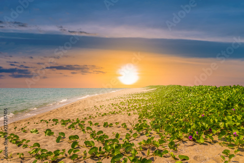 Tropical beach at sunset nature background.