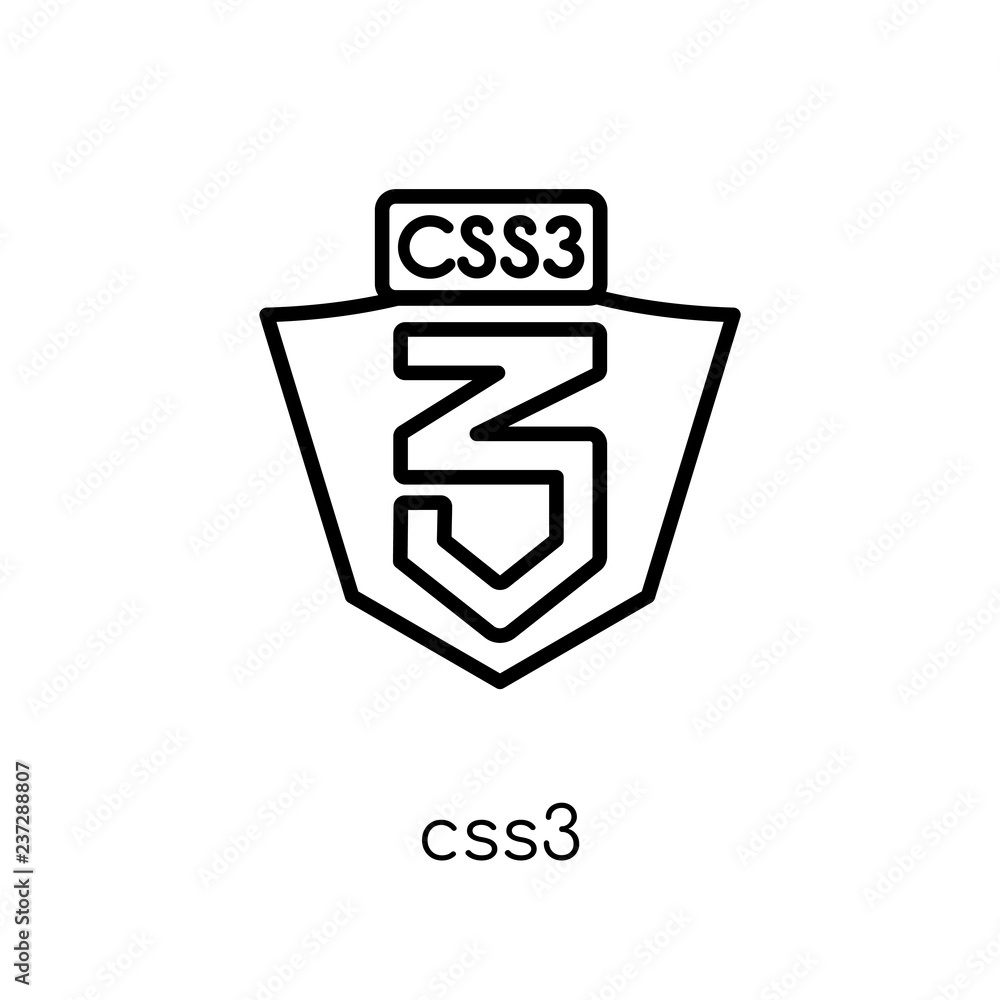Css3 Vector Logo
