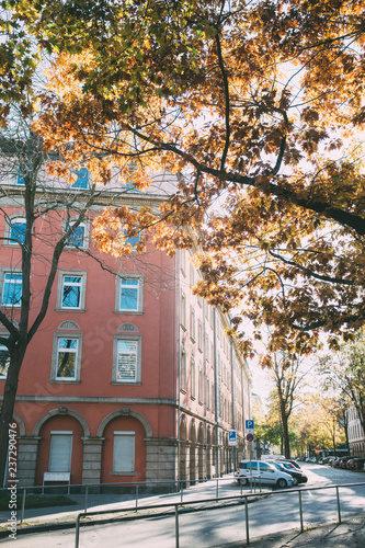 Wallpaper Mural Autumn in city Torontodigital.ca