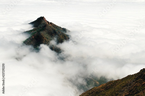 A mountain peak rises above a thick layer of clouds in Chile's Parque Nacional La Campana