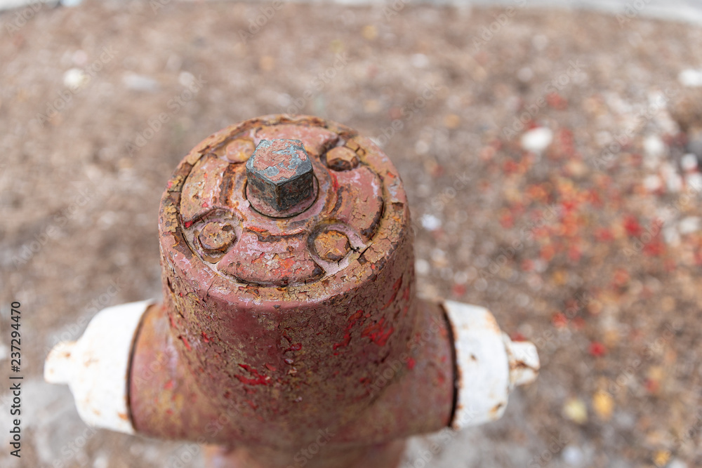 rust
