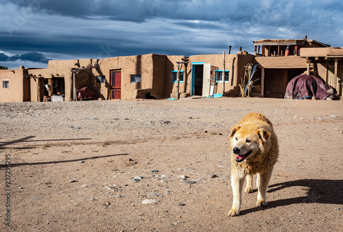 Taos Pueblo with dog 