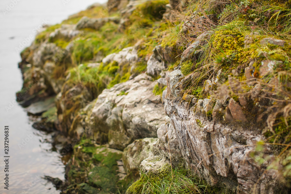 Close up beautyful moss on rocks by the river. Old gray stones with green moss texture background. Close up beautyful moss on rocks by the river. Old gray stones with green moss texture background.
