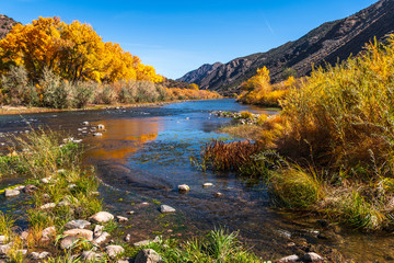 Beautiful autumn colors on  Rio Grande river flowing through New Mexico