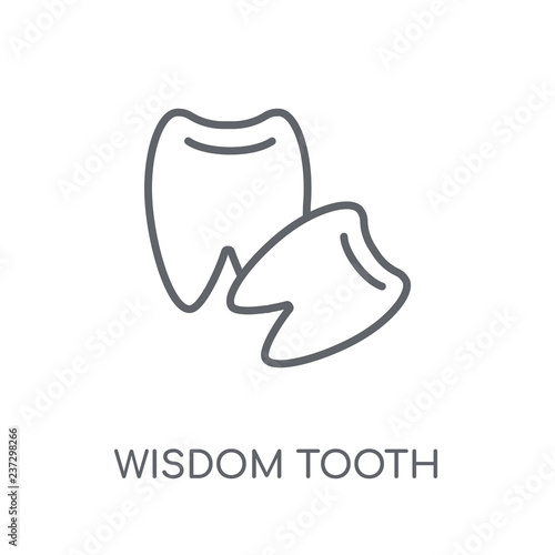 Wisdom tooth linear icon. Modern outline Wisdom tooth logo concept on white background from Dentist collection