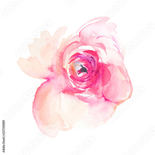 Isolated Pink Watercolor Flower Peony