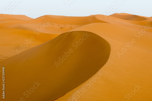 Golden dunes at sunset photo