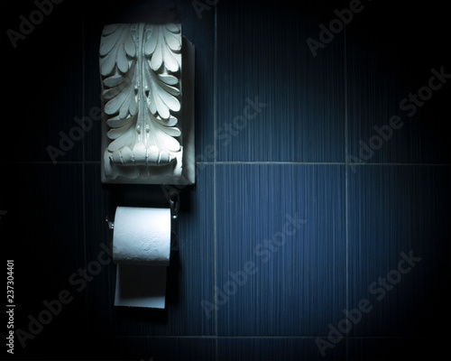 White toilet paper roll on chrome fixture with white antique plaster decoration above. Conceptual toilet design