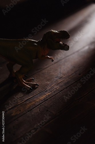 Dangerous dinosaur irrupted at home photo