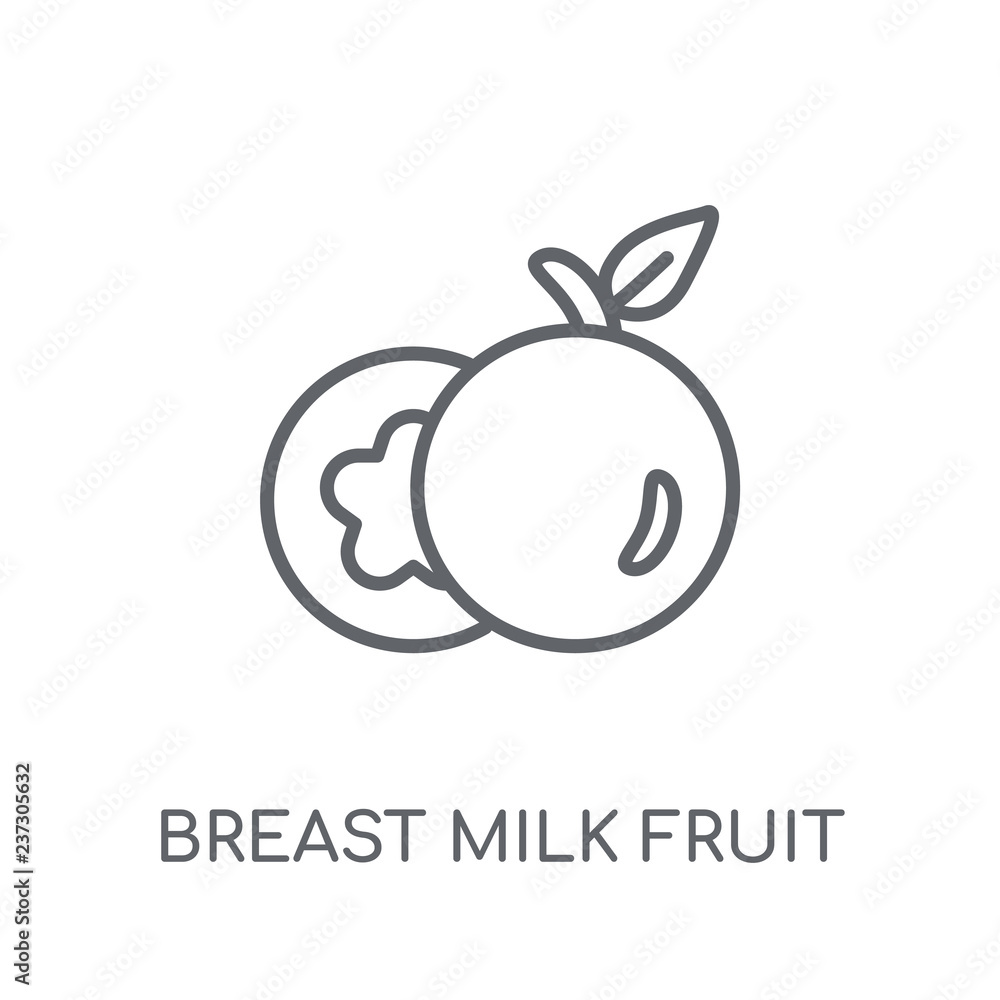 Breast milk fruit linear icon. Modern outline Breast milk fruit logo