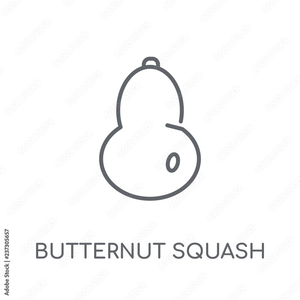 Butternut Squash Outline